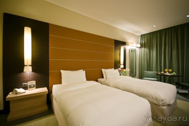 фото Athene Neos