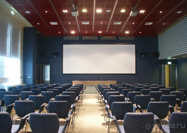 фото Athene Neos