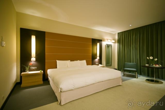 фото Athene Neos