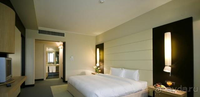 фото Athene Neos