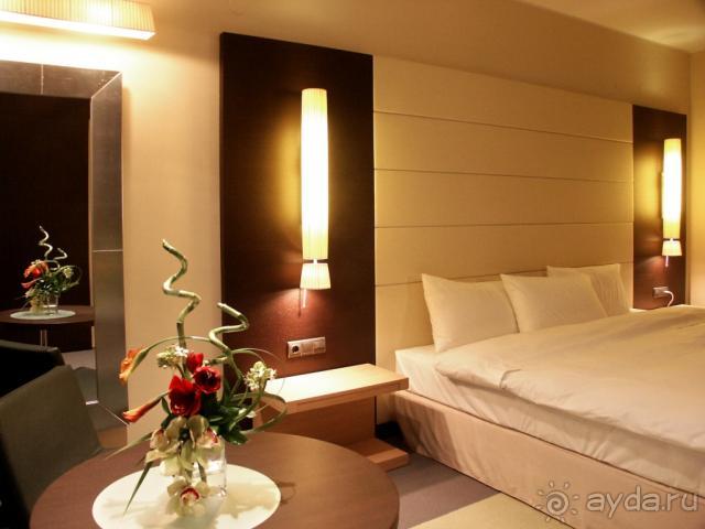 фото Athene Neos