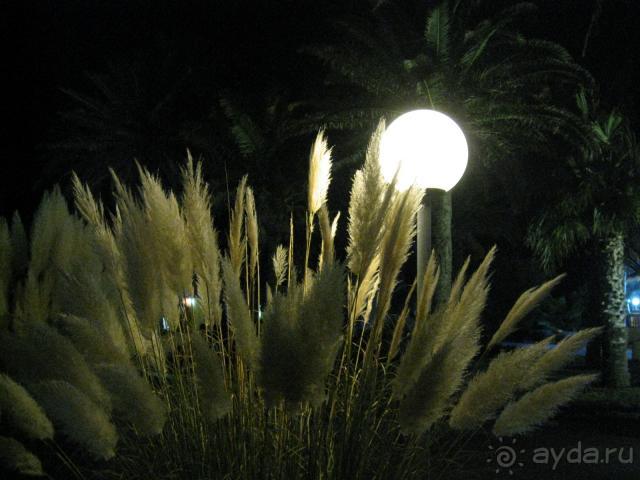 фото Caribbean World Borj Sedria