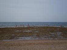 фото Emerald Resort & Aqua Park