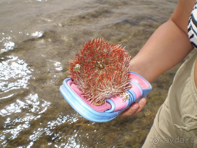 фото Emerald Resort & Aqua Park