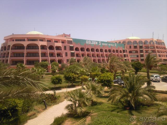 Paradise Golden 5