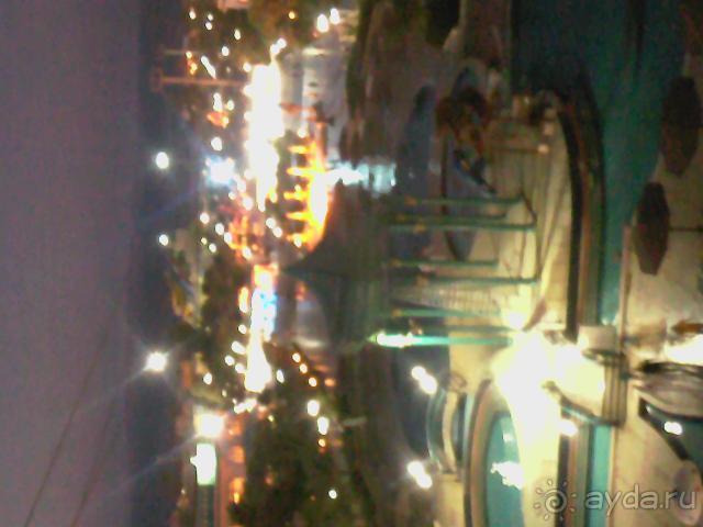 Paradise Golden 5
