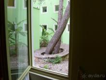 РУССКИМ ПРОТИВОПОКАЗАНО ДЛЯ НЕРВОВ!!!