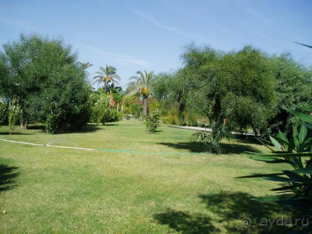 Не "парадиссимо", но очень даже ничего