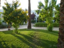 фото Royal Holiday Beach Resort Sharm El Sheikh