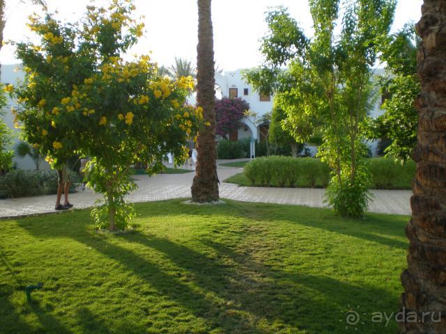 фото Royal Holiday Beach Resort Sharm El Sheikh