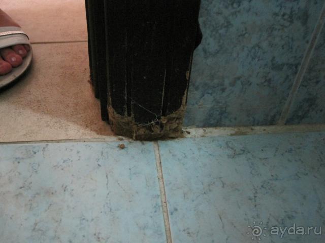 Плесень в ванной комнате Sefik Bey