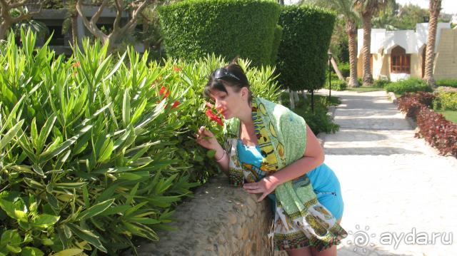 фото Yasawa Island Resort