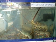 Альбом отзыва "6000 км на мотоциклах,Вьетнам,Камбоджа,Таиланд,Лаос. Часть - 2"