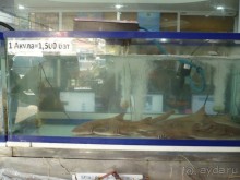 Альбом отзыва "6000 км на мотоциклах,Вьетнам,Камбоджа,Таиланд,Лаос. Часть - 2"