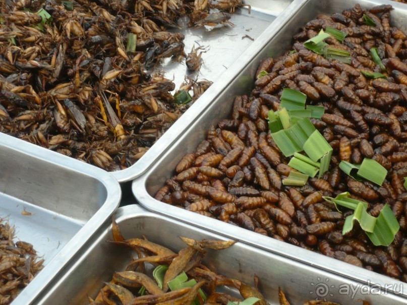 6000 км на мотоциклах,Вьетнам,Камбоджа,Таиланд,Лаос. Часть - 2