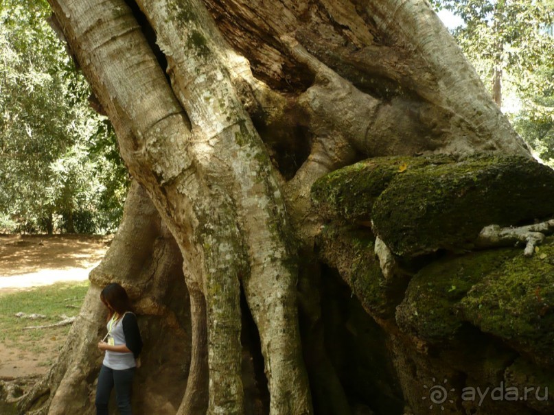6000 км на мотоциклах,Вьетнам,Камбоджа,Таиланд,Лаос. Часть - 2