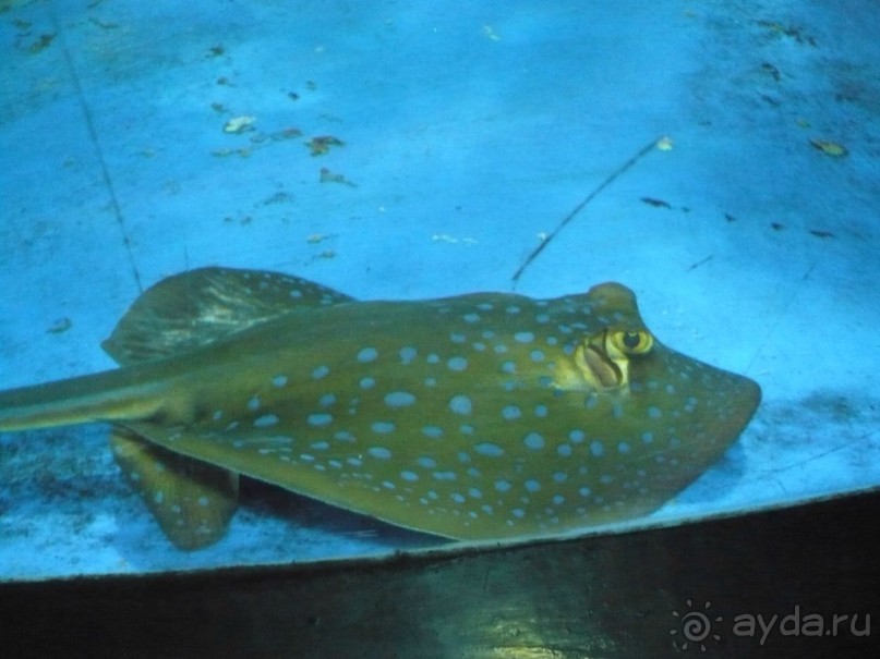 6000 км на мотоциклах,Вьетнам,Камбоджа,Таиланд,Лаос. Часть - 2