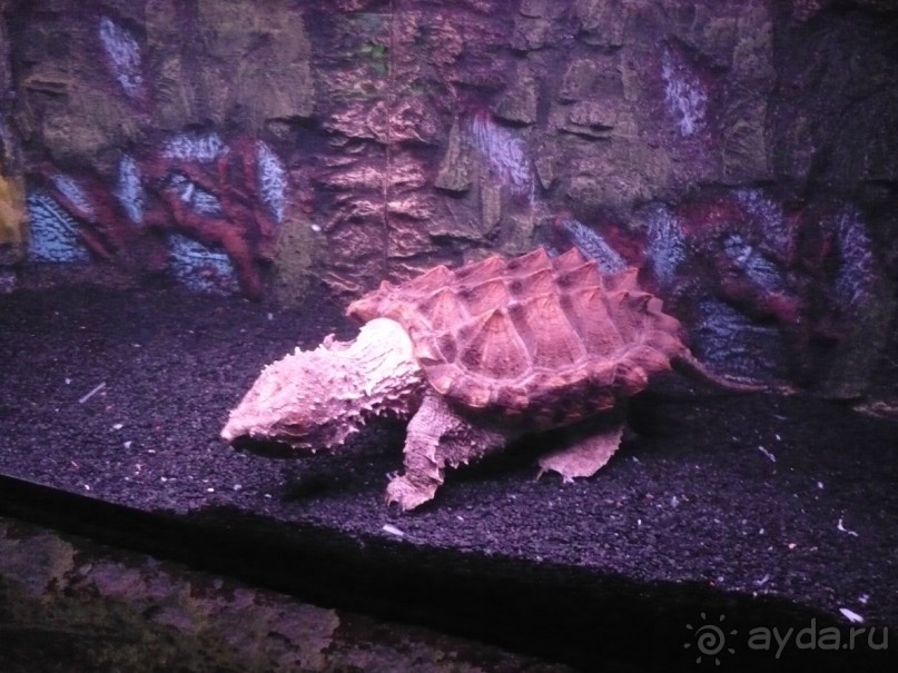 6000 км на мотоциклах,Вьетнам,Камбоджа,Таиланд,Лаос. Часть - 2