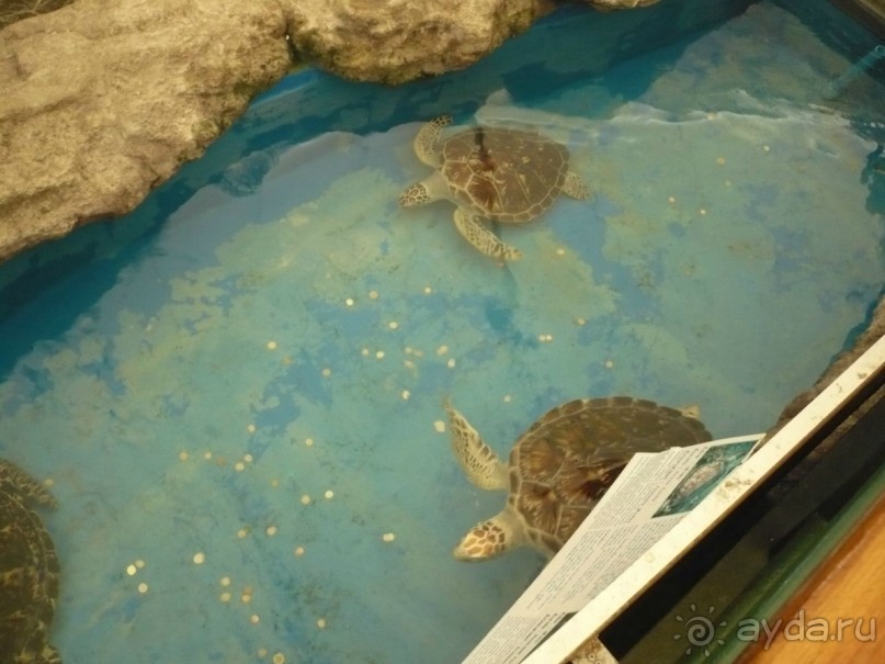 6000 км на мотоциклах,Вьетнам,Камбоджа,Таиланд,Лаос. Часть - 2