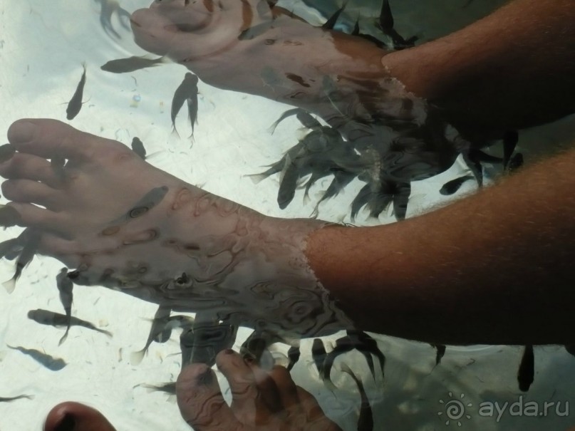 6000 км на мотоциклах,Вьетнам,Камбоджа,Таиланд,Лаос. Часть - 2