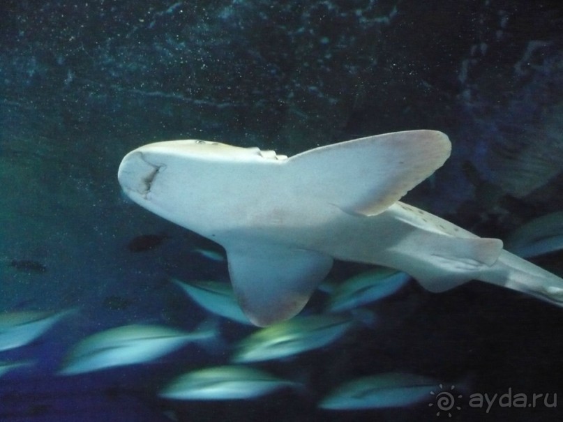 6000 км на мотоциклах,Вьетнам,Камбоджа,Таиланд,Лаос. Часть - 2