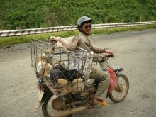 6 000 км на мотоциклах, Вьетнам,Лаос,Таиланд,Камбоджа. Часть - 1