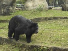 6 000 км на мотоциклах, Вьетнам,Лаос,Таиланд,Камбоджа. Часть - 1