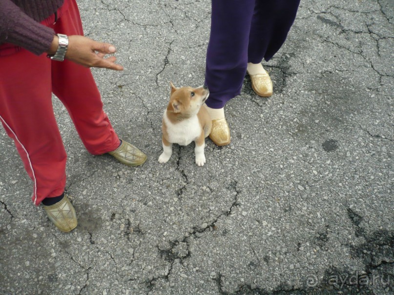 6 000 км на мотоциклах, Вьетнам,Лаос,Таиланд,Камбоджа. Часть - 1