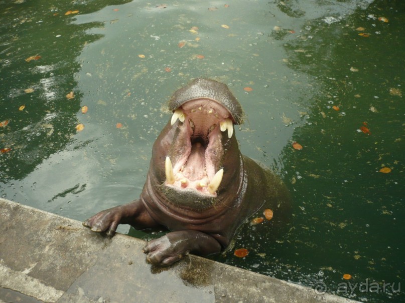 6 000 км на мотоциклах, Вьетнам,Лаос,Таиланд,Камбоджа. Часть - 1