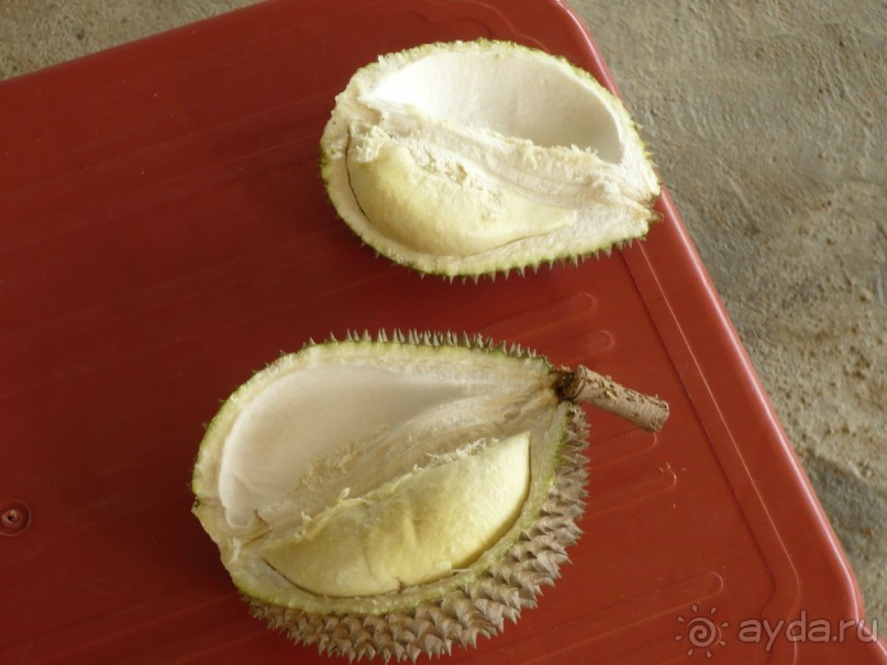 6 000 км на мотоциклах, Вьетнам,Лаос,Таиланд,Камбоджа. Часть - 1