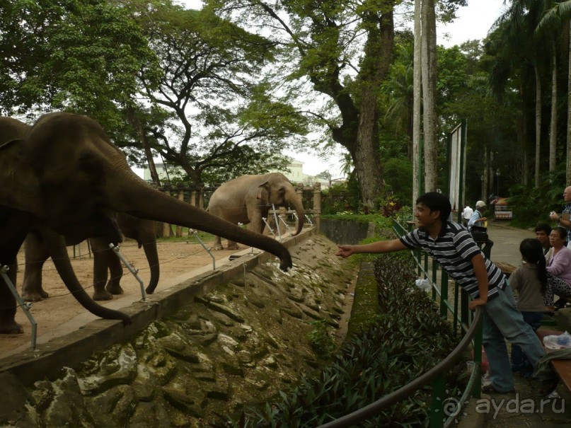 6 000 км на мотоциклах, Вьетнам,Лаос,Таиланд,Камбоджа. Часть - 1