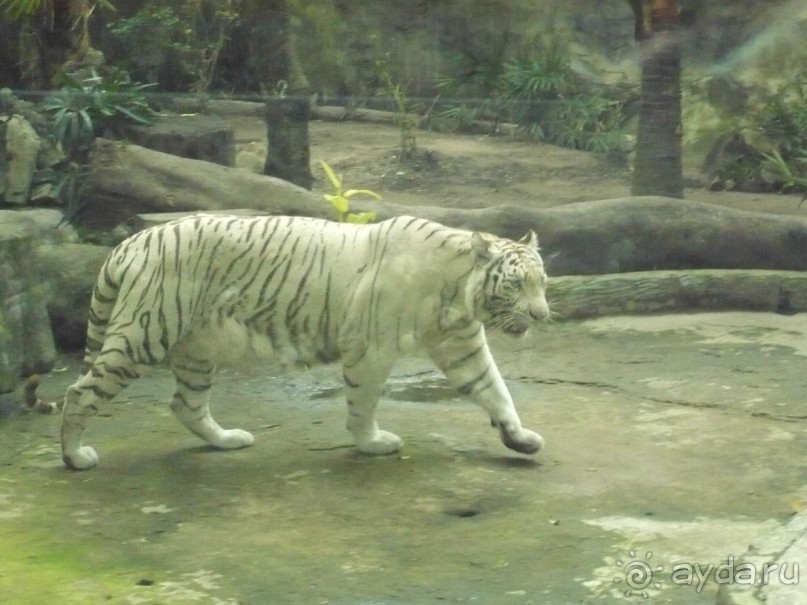 6 000 км на мотоциклах, Вьетнам,Лаос,Таиланд,Камбоджа. Часть - 1