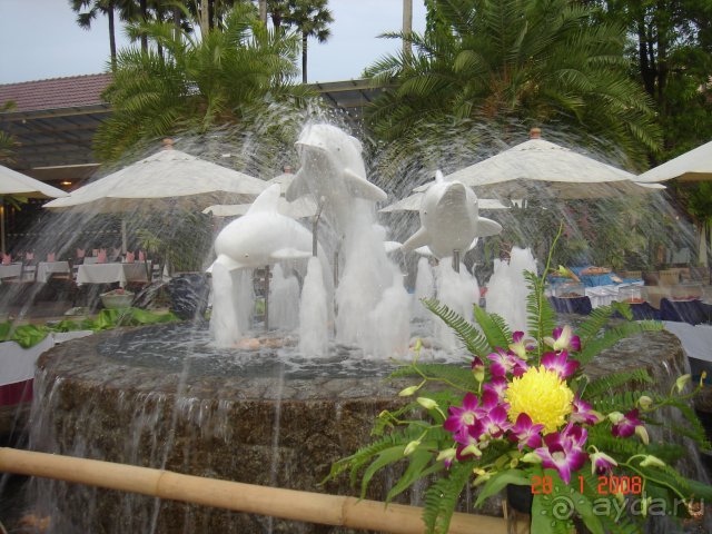 Thara Patong