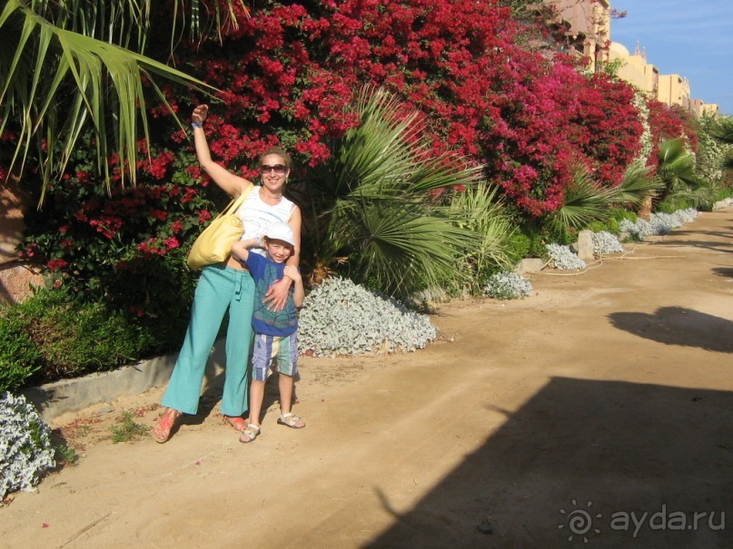 фото Zahabia Hotel & Beach Resort