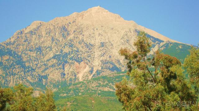 фото Maximillian