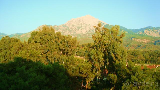 фото Maximillian