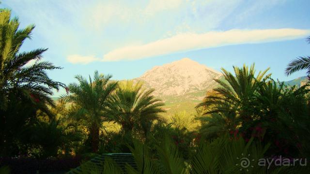 фото Maximillian