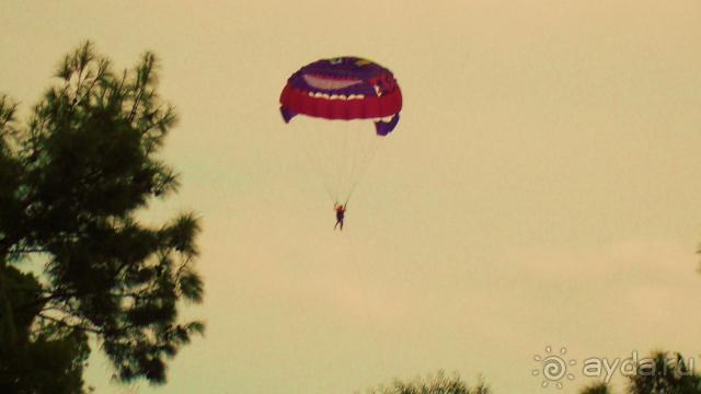 фото Maximillian