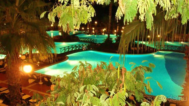 фото Maximillian