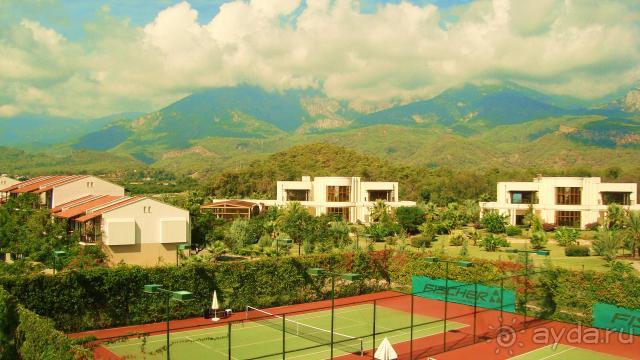 фото Maximillian