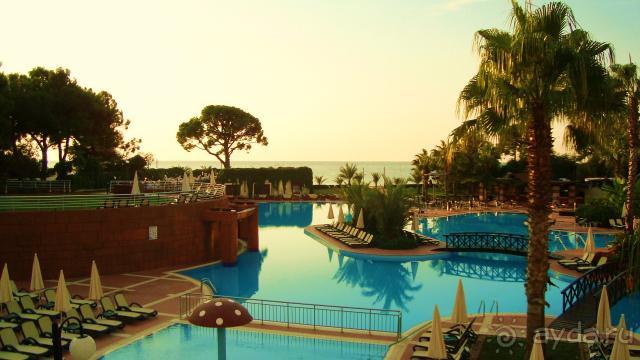 фото Maximillian