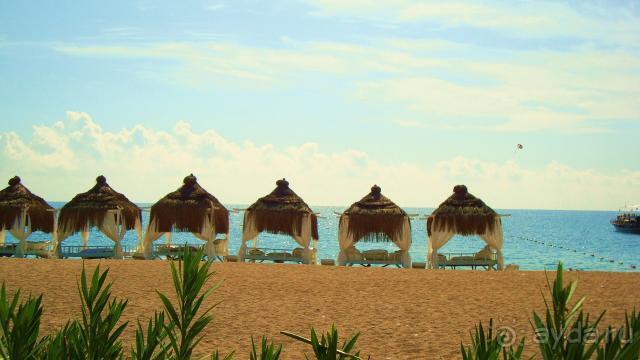 фото Maximillian