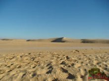 фото JAZ Tour Khalef