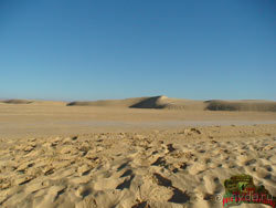 Восток, восток и ещё раз восток