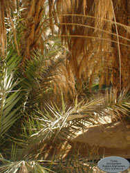 Восток, восток и ещё раз восток