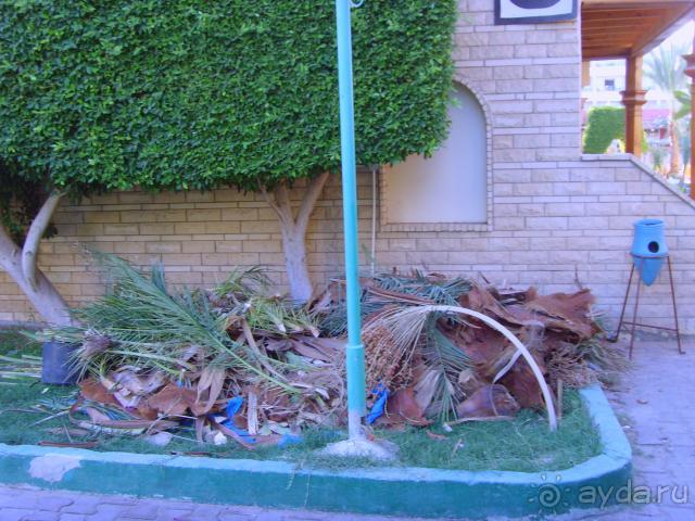 фото Princess Palace & Princess Club (закрыт)