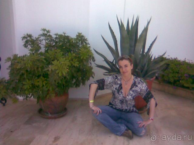 фото Ozkaymak Marina Hotel