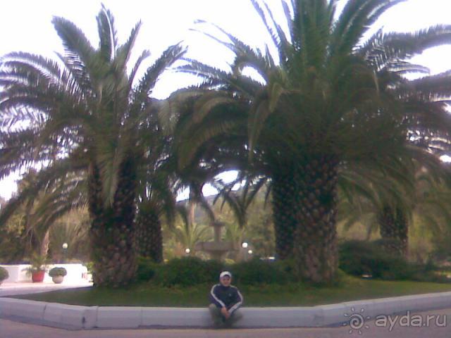 фото Ozkaymak Marina Hotel