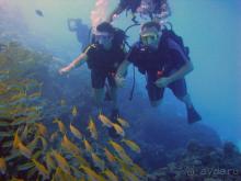 Главное хорошее настроение!