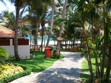 Вид с нашей веранды! до моря 15 шагов